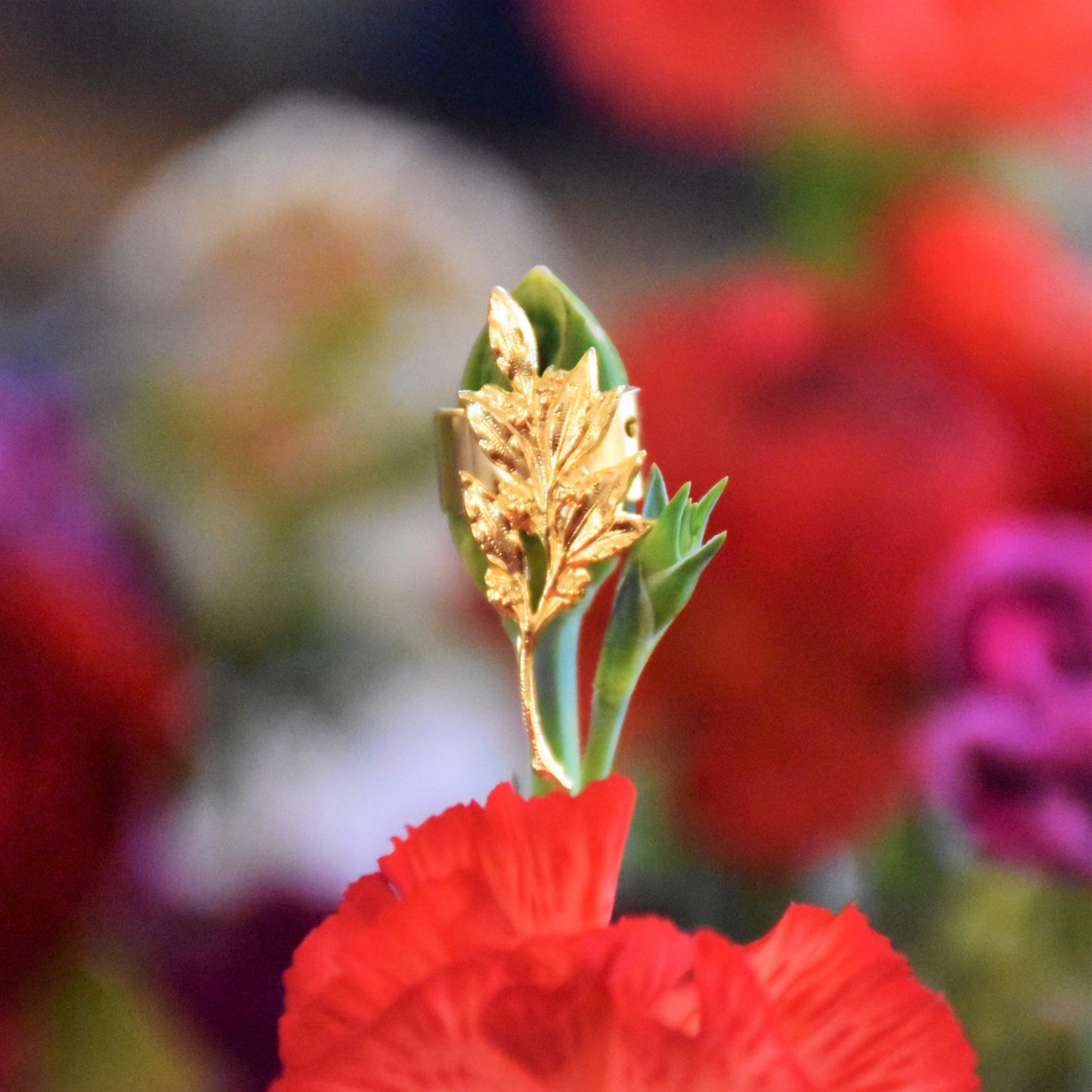 Boucle d'oreille Billbergia